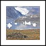 Arctic Greenland 037